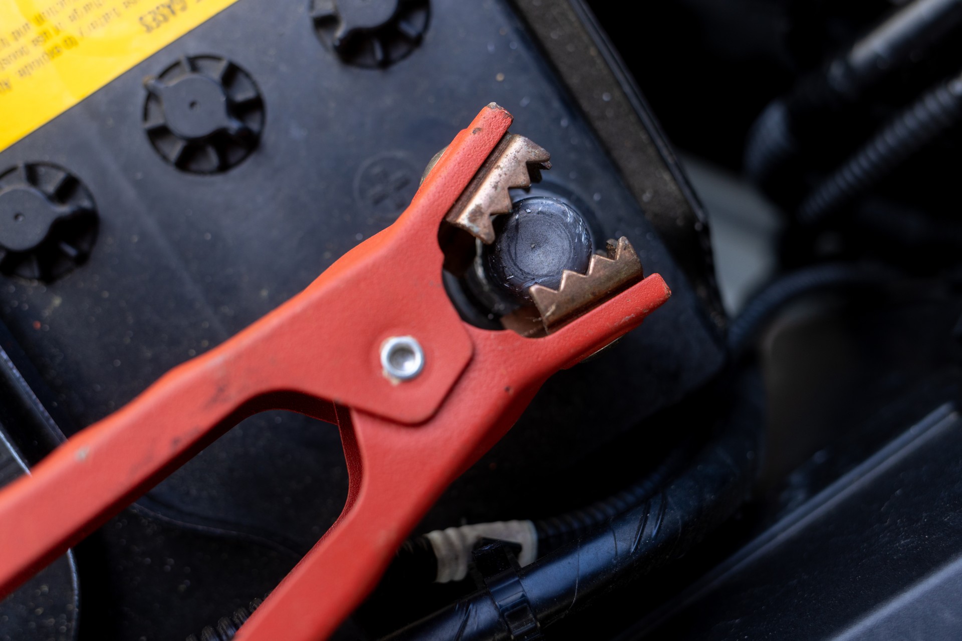 Jumper Cables Connected to Car Battery - Positive Post - Close up
